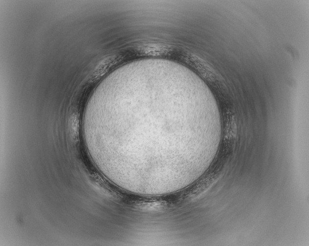 X0000115210646200911181529