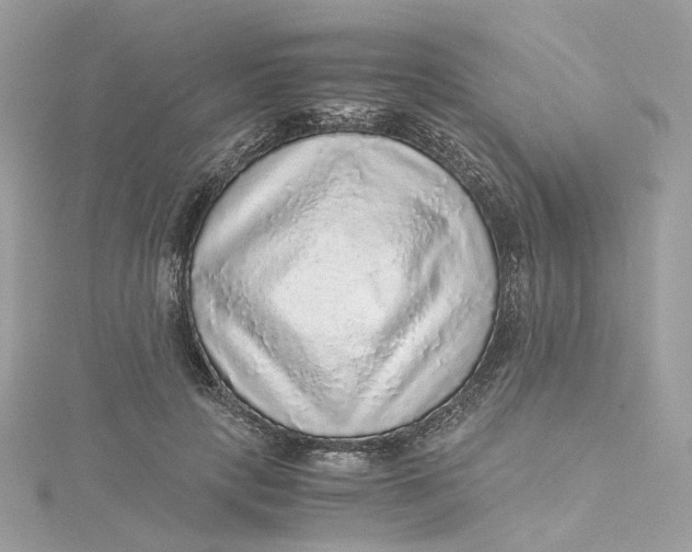 X0000115210649200911181529