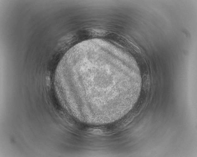X0000115210655200911181529