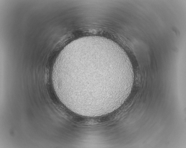 X0000115210656200911181529