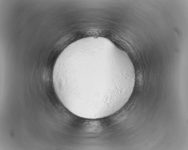 X0000115210665200911181529