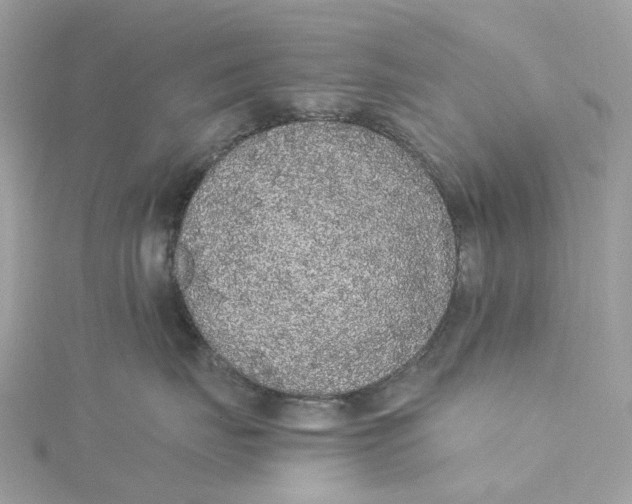 X0000115210671200911181529