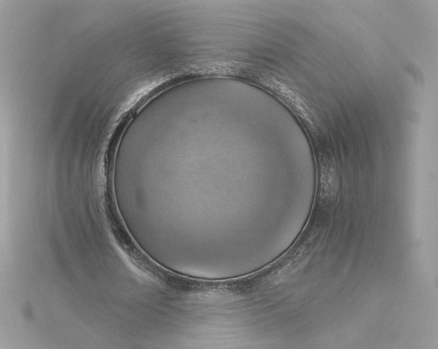 X0000115210674200911181529