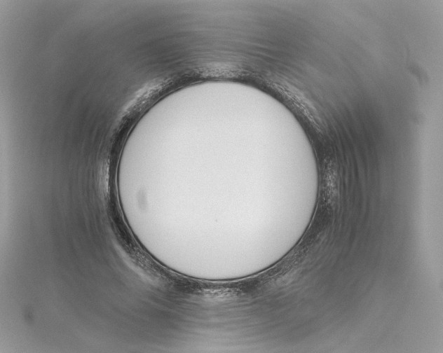 X0000115210686200911181529