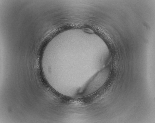 X0000115210689200911181529
