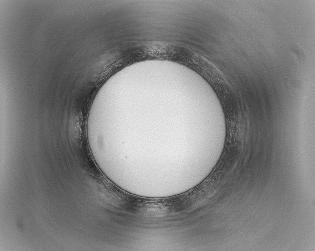 X0000115210702200911181528