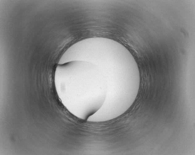 X0000115210716200911181528
