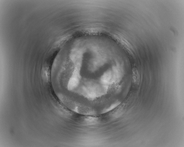 X0000115210718200911181528