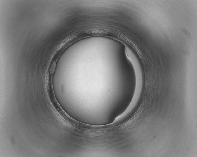 X0000115210725200911181528