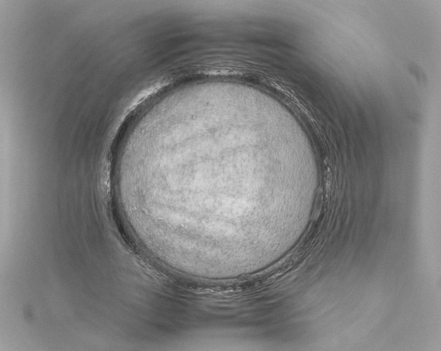 X0000115210727200911181528