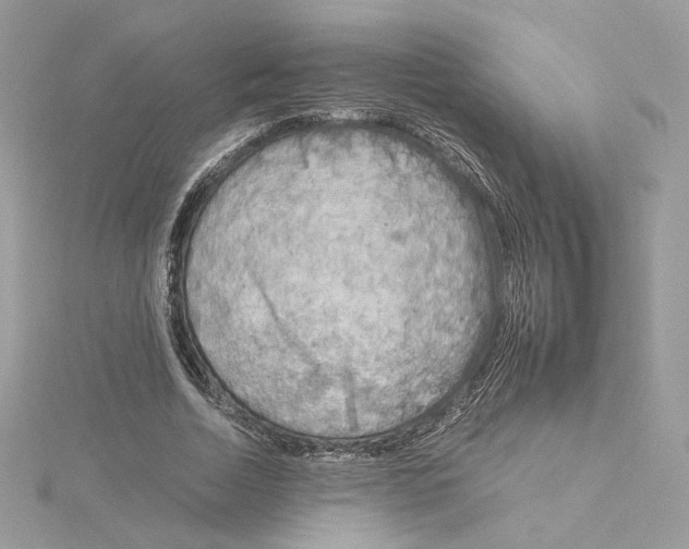X0000115210730200911181528