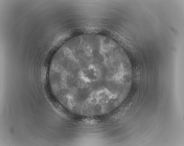 X0000115210742200911181528