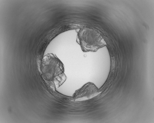 X0000115210749200911181528