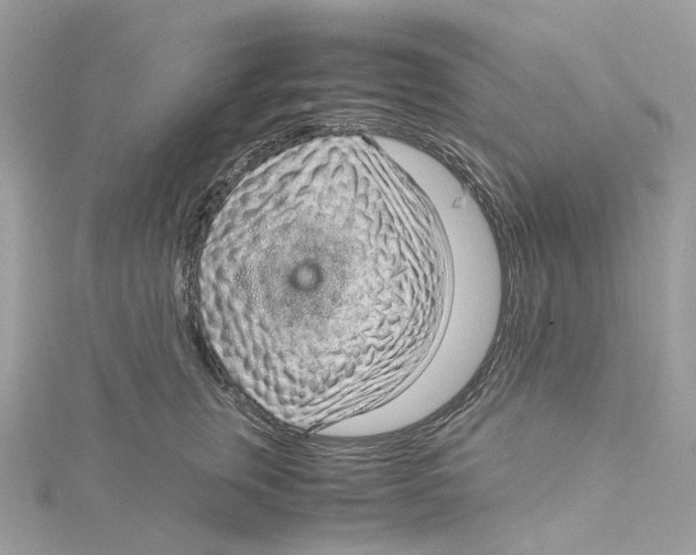 X0000115210759200911181528
