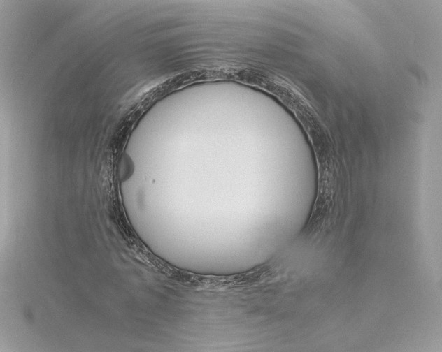 X0000115210773200911181527