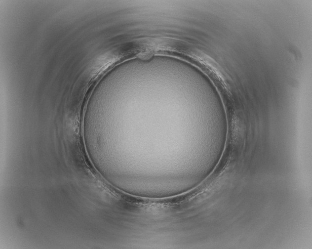 X0000115210785200911181527