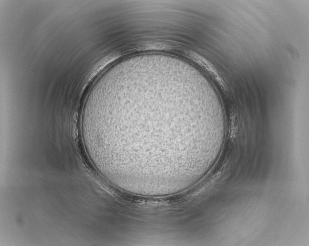 X0000115210786200911181527