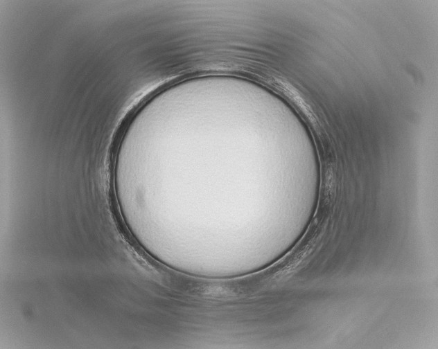 X0000115210787200911181527