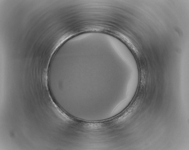 X0000115210802200911181527