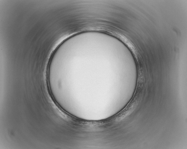 X0000115210803200911181527