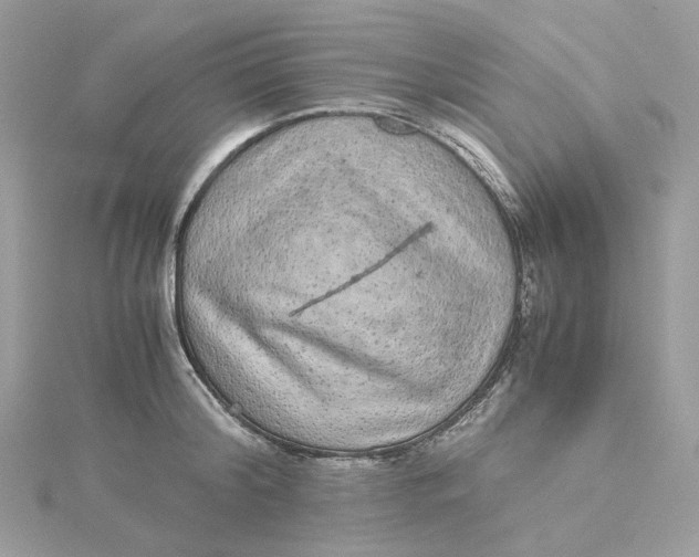 X0000115210804200911181527