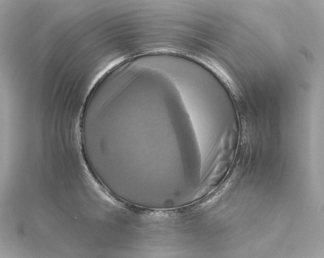 X0000115210806200911181527