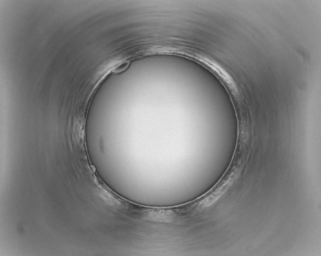 X0000115210809200911181527