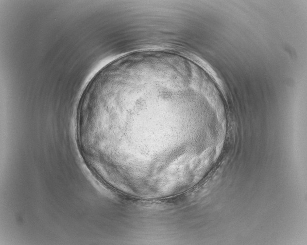 X0000115210811200911181527