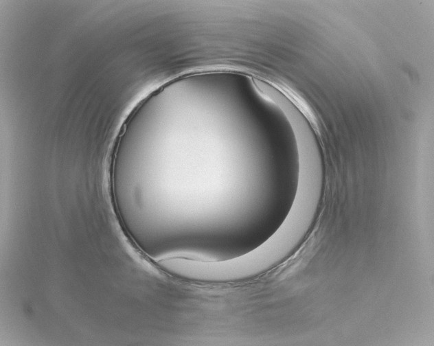X0000115210813200911181527