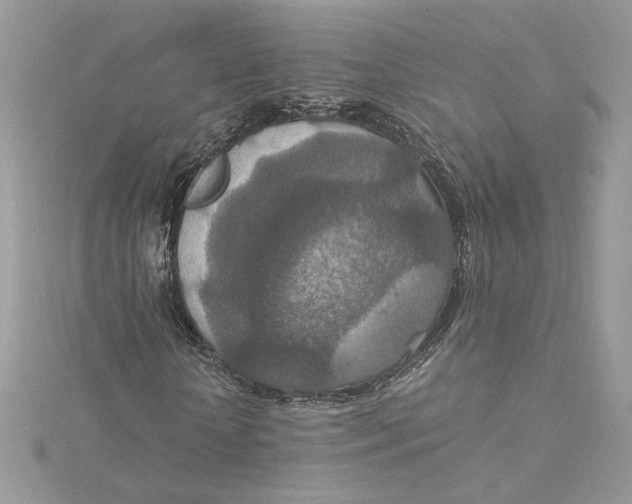 X0000115210818200911181526