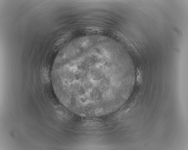 X0000115210819200911181526