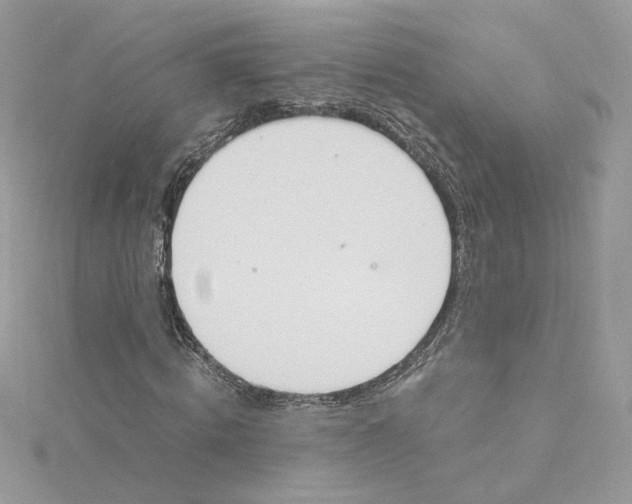 X0000115210820200911181526