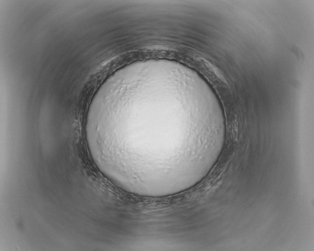 X0000115210821200911181526