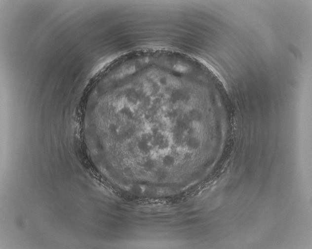 X0000115210823200911181526