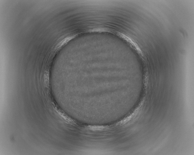 X0000115210825200911181526