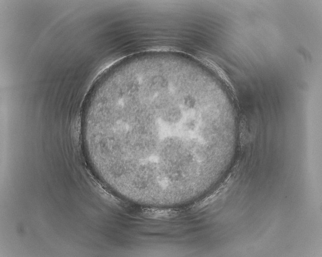 X0000115210831200911181526