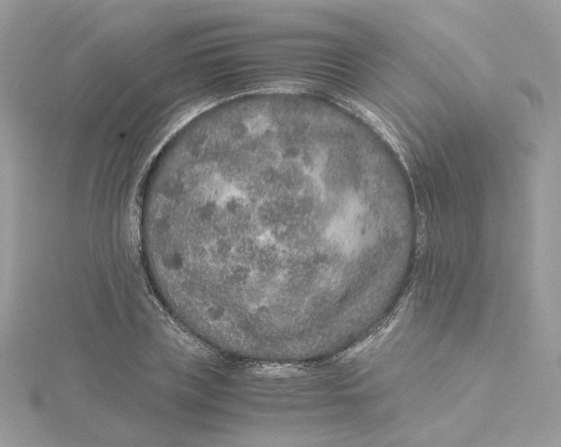 X0000115210835200911181527