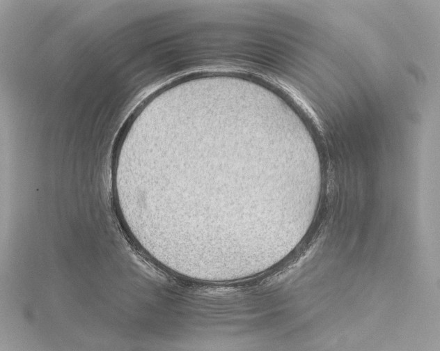 X0000115210837200911181527
