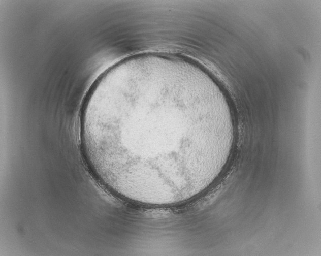 X0000115210838200911181527