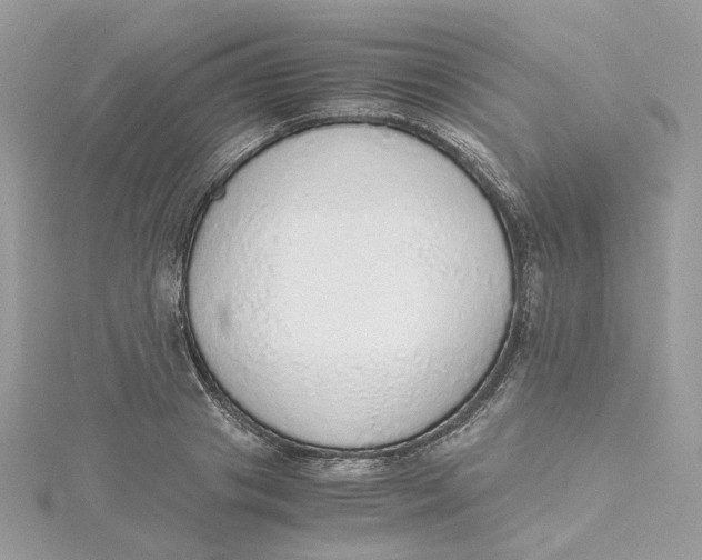 X0000115210841200911181527