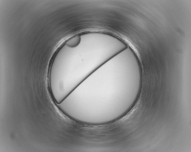 X0000115210845200911181527