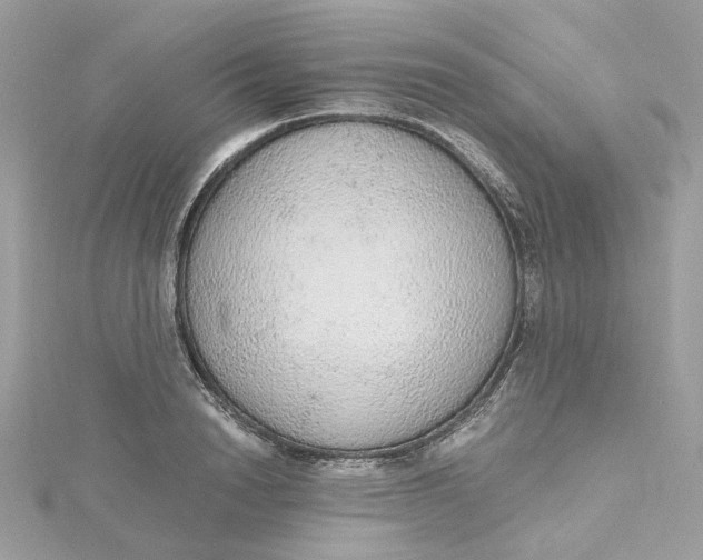 X0000115210846200911181527