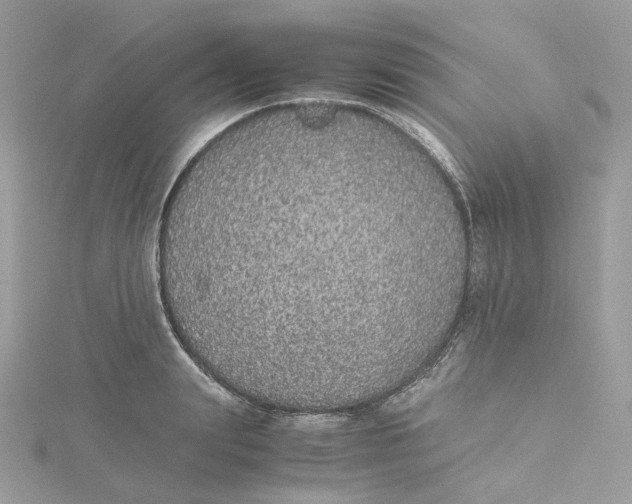 X0000115210847200911181527