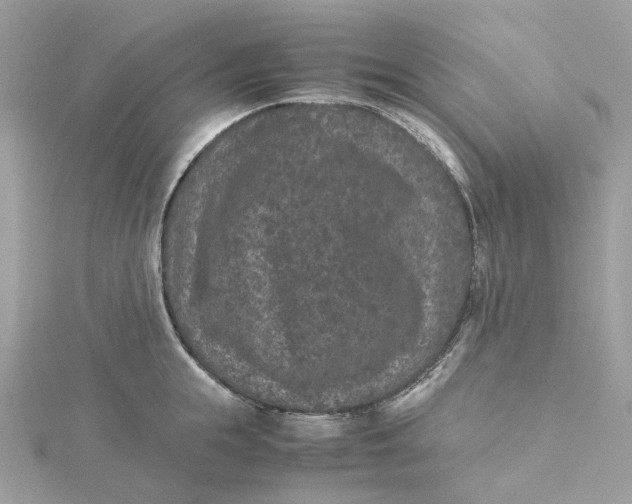 X0000115210855200911181527