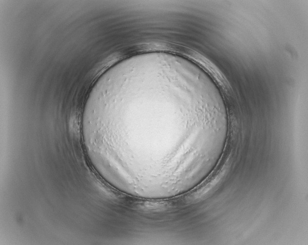 X0000115210857200911181527