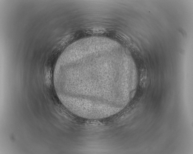 X0000115210866200911181526