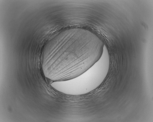 X0000115210868200911181526