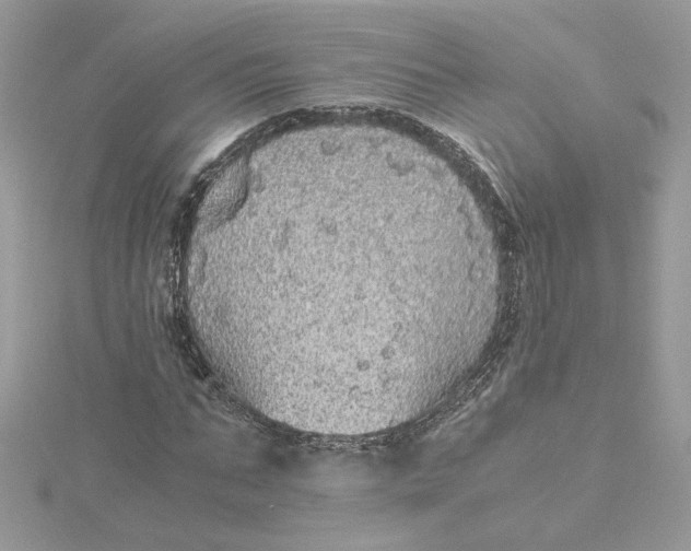 X0000115210871200911181526