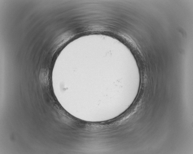 X0000115210873200911181526