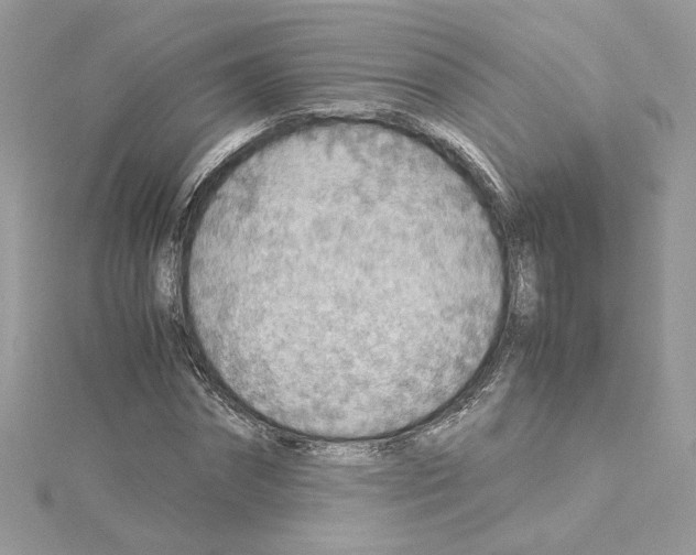 X0000115210874200911181526